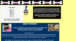 Desktop Screenshot of ameripetpuppystore.com