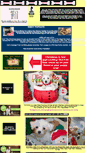 Mobile Screenshot of ameripetpuppystore.com