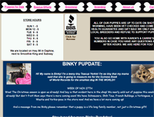 Tablet Screenshot of ameripetpuppystore.com